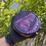 Queijo da Santa - 400g